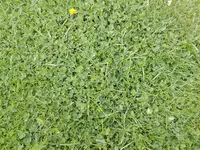 IMG_20170419_183427.webp