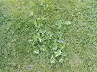 IMG_20170419_183407.webp