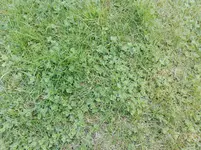 IMG_20170419_183355.webp