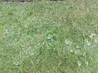 IMG_20170419_183311.webp