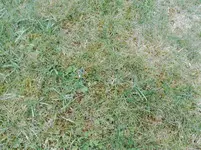 IMG_20170419_183251.webp