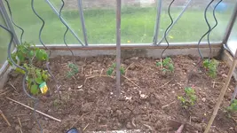 WP_20170418_12_23_23_Pro.jpg