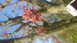 20170420_095607.webp