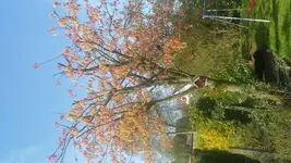 20170420_095554.webp