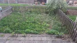 IMG-20170410-WA0006.jpg