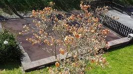 20170420_115459.jpg