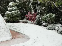 DSC09333.png
