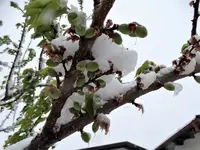 DSC09371.webp
