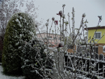 DSC09356.png