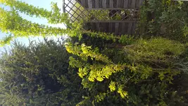 1492696631762351795531.webp