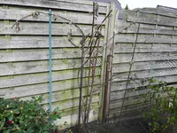 20170420_154948.jpg
