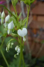 _DSC1460.webp