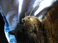 IMGP4827.webp