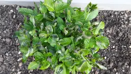 20170420_192248.webp