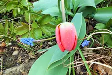DSCF8732 (2).webp