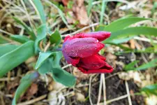 DSCF8730 (2).webp