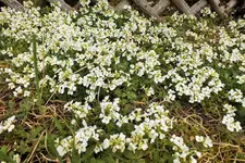 DSCF8723 (2).webp