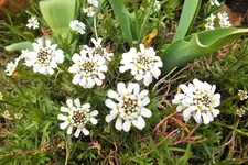 DSCF8729 (2).webp