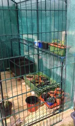 20170417_121025.webp