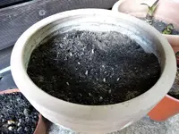 DSC09410.webp