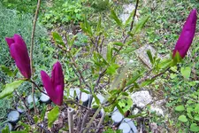 100_3830.JPG