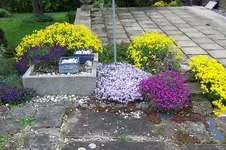 100_3827.JPG
