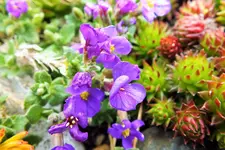 DSCF8724 (2).webp