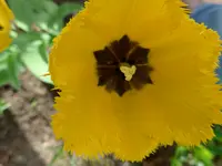 P1000590.webp