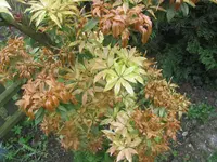 IMG_0069.webp