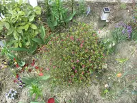 IMG_0068.webp