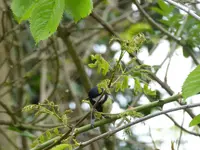 P1000104.JPG