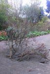IMG_20170422_204859.JPG