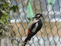 P1000111.webp