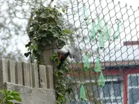 P1000141.webp