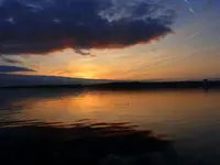 002.webp