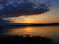 005.webp