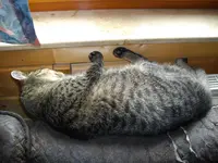 IMGP3715.webp