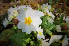 DSCF8691 (2).webp
