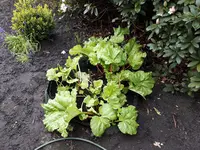 20170423_110347.webp