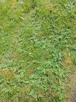 IMG_20170423_145934.webp