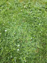 IMG_20170423_145956.webp