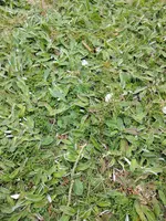 IMG_20170423_150027.webp