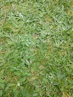 IMG_20170423_150041.webp