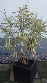 20170423_183735.webp