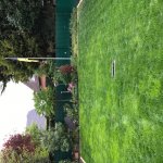 IMG_0300.JPG