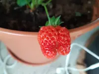 20170423_153123.webp