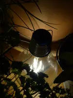 P1010573.webp
