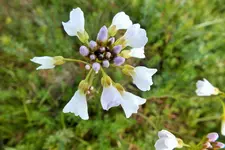 DSCF8739 (2).webp