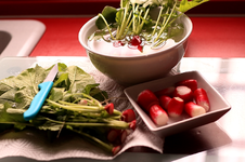 Radieschen_Ernte_rot_weiss_grün3_800.webp