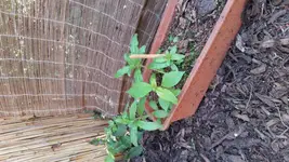 IMG_20170424_152824.webp